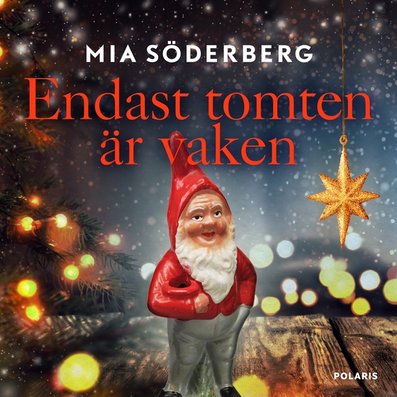 Endast tomten är vaken