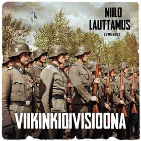 Viikinkidivisioona (ljudbok) av Niilo Lauttamus