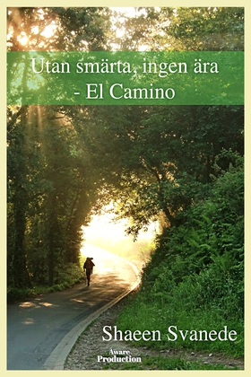 Utan smärta, ingen ära – el Camino (e-bok) av S