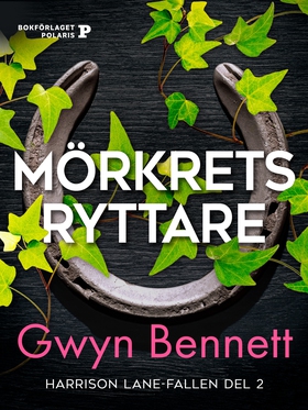 Mörkrets ryttare (e-bok) av Gwyn Bennett