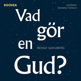 Vad gör en Gud? (ljudbok) av Bengt Sahlberg