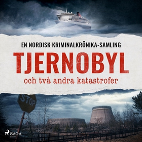 Tjernobyl, och två andra katastrofer (ljudbok)