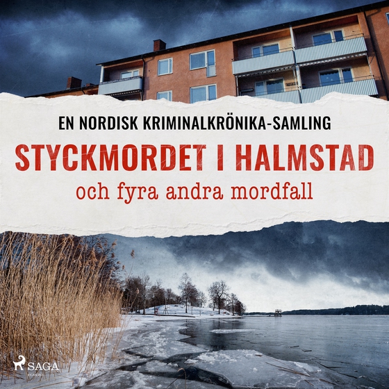 Styckmordet i Halmstad och fyra andra mordfall
