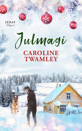 Julmagi (e-bok) av Caroline Twamley