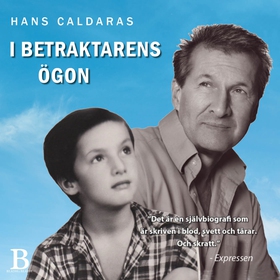 I betraktarens ögon (ljudbok) av Hans Caldaras