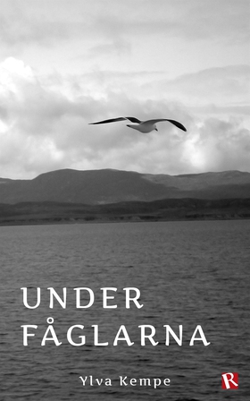 Under fåglarna (e-bok) av Ylva Kempe