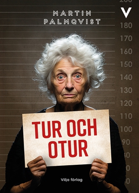 Tur och otur (e-bok) av Martin Palmqvist