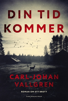 Din tid kommer (e-bok) av Carl-Johan Vallgren