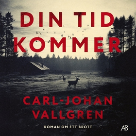 Din tid kommer (ljudbok) av Carl-Johan Vallgren