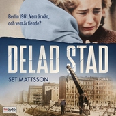 Delad stad