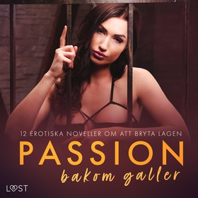 Passion bakom galler: 12 erotiska noveller om a