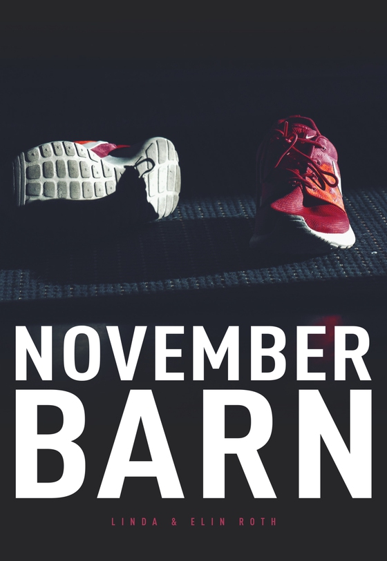 Novemberbarn (e-bok) av Elin Roth