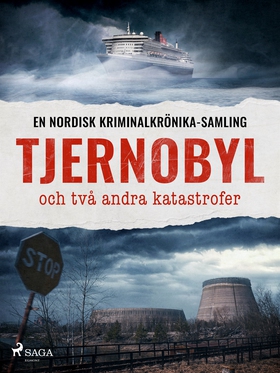 Tjernobyl och två andra katastrofer (e-bok) av