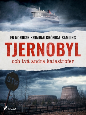 Tjernobyl och två andra katastrofer (e-bok) av 