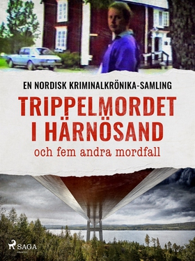 Trippelmordet i Härnösand och fem andra mordfal