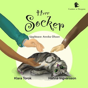 Herr Socker (ljudbok) av Klara Török