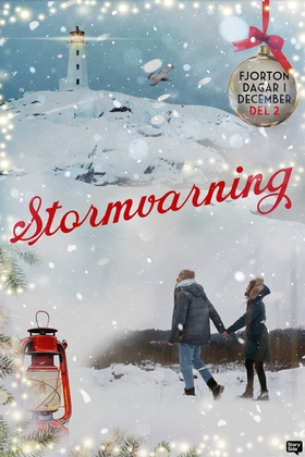 Stormvarning (e-bok) av Bente Pedersen