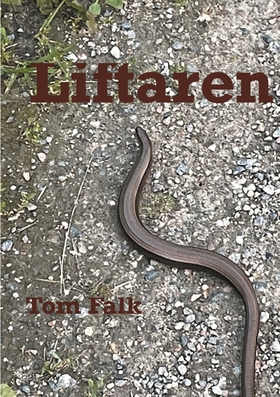 Liftaren (e-bok) av Tom Falk