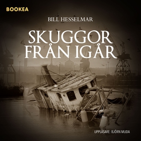 Skuggor från igår (ljudbok) av Bill Hesselmar