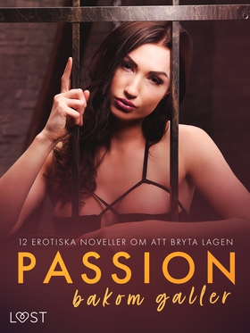 Passion bakom galler: 12 erotiska noveller om a