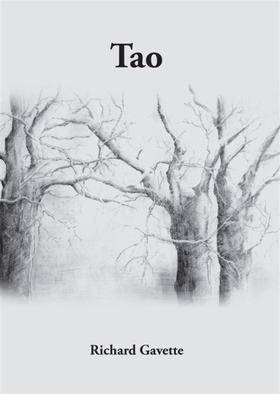 Tao (e-bok) av Richard Gavette