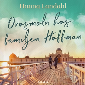 Orosmoln hos familjen Hoffman (ljudbok) av Hann