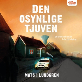 Den osynlige tjuven (ljudbok) av Mats I. Lundgr
