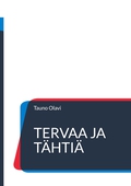 Tervaa ja tähtiä: Seikkailuromaani suuren pohjan sodan ajoilta