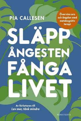 Släpp ångesten, fånga livet : övervinn oro och