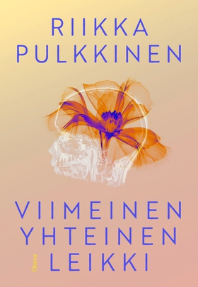 Viimeinen yhteinen leikki (e-bok) av Riikka Pul