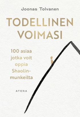 Todellinen voimasi (e-bok) av Joonas Tolvanen