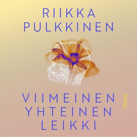 Viimeinen yhteinen leikki (ljudbok) av Riikka P