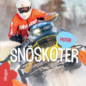 Snöskoter (ljudbok) av 