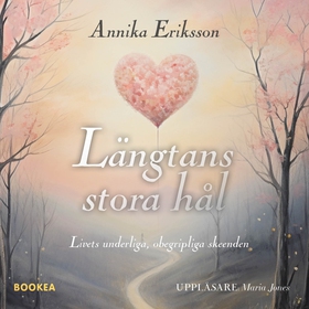 Längtans stora hål (ljudbok) av Annika Eriksson