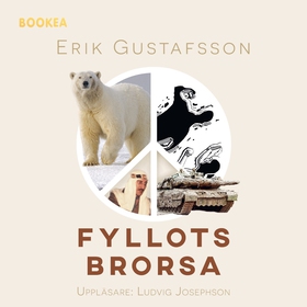 Fyllots Brorsa (ljudbok) av Erik Gustafsson