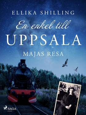 En enkel till Uppsala (e-bok) av Ellika Shillin