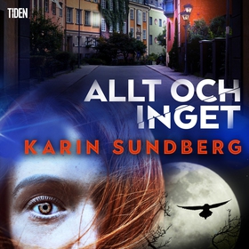 Allt och inget (ljudbok) av Karin Sundberg