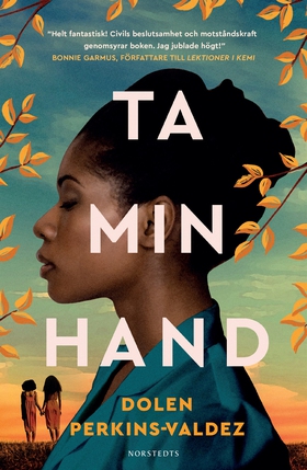 Ta min hand (e-bok) av Dolen Perkins-Valdez