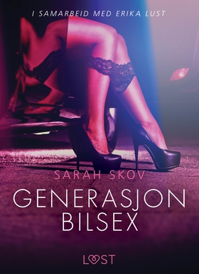 Generasjon Bilsex - en erotisk novelle (ebok)