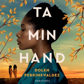 Ta min hand (ljudbok) av Dolen Perkins-Valdez