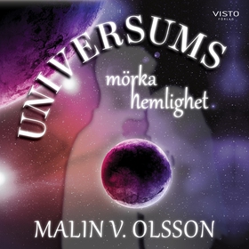 Universums mörka hemlighet (ljudbok) av Malin V