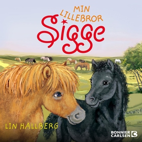 Min lillebror Sigge (ljudbok) av Lin Hallberg