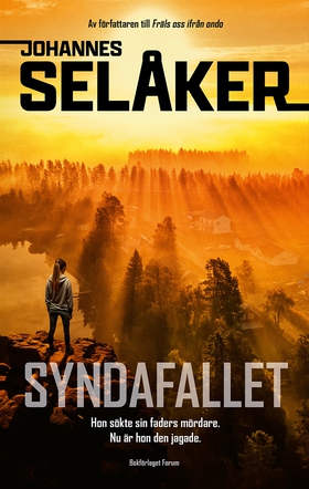 Syndafallet (e-bok) av Johannes Selåker