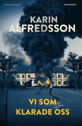 Vi som klarade oss (e-bok) av Karin Alfredsson