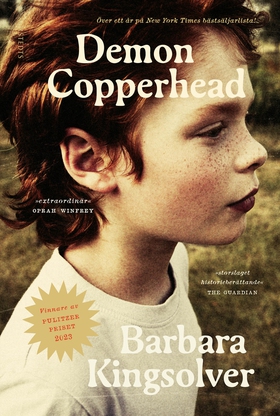 Demon Copperhead (e-bok) av Barbara Kingsolver