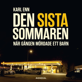 Den sista sommaren : när gängen mördade ett bar