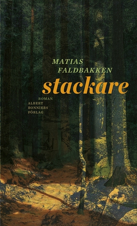 Stackare (e-bok) av Matias Faldbakken