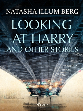 Looking at Harry and Other Stories (e-bok) av N