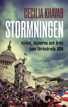 Stormningen : våldet, lögnerna och åren som för