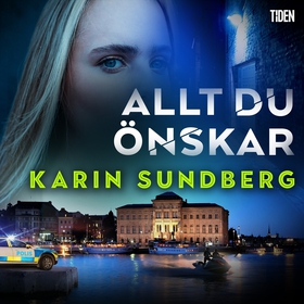 Allt du önskar (ljudbok) av Karin Sundberg